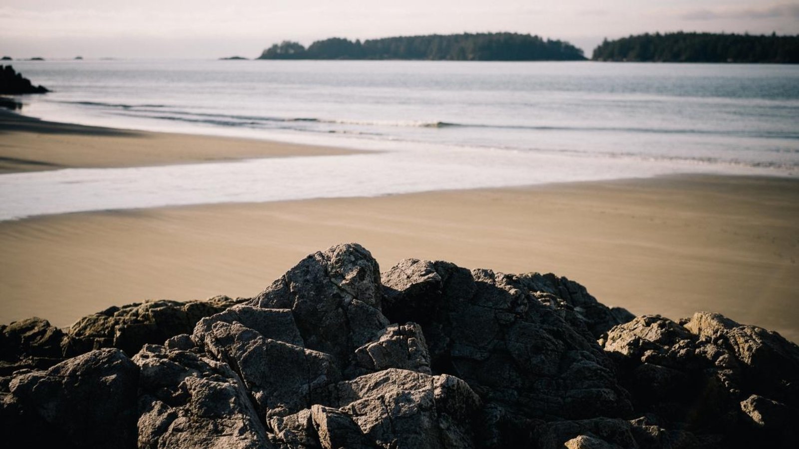 1034596a-4efd-3722-ae6b-99017d5b4c65