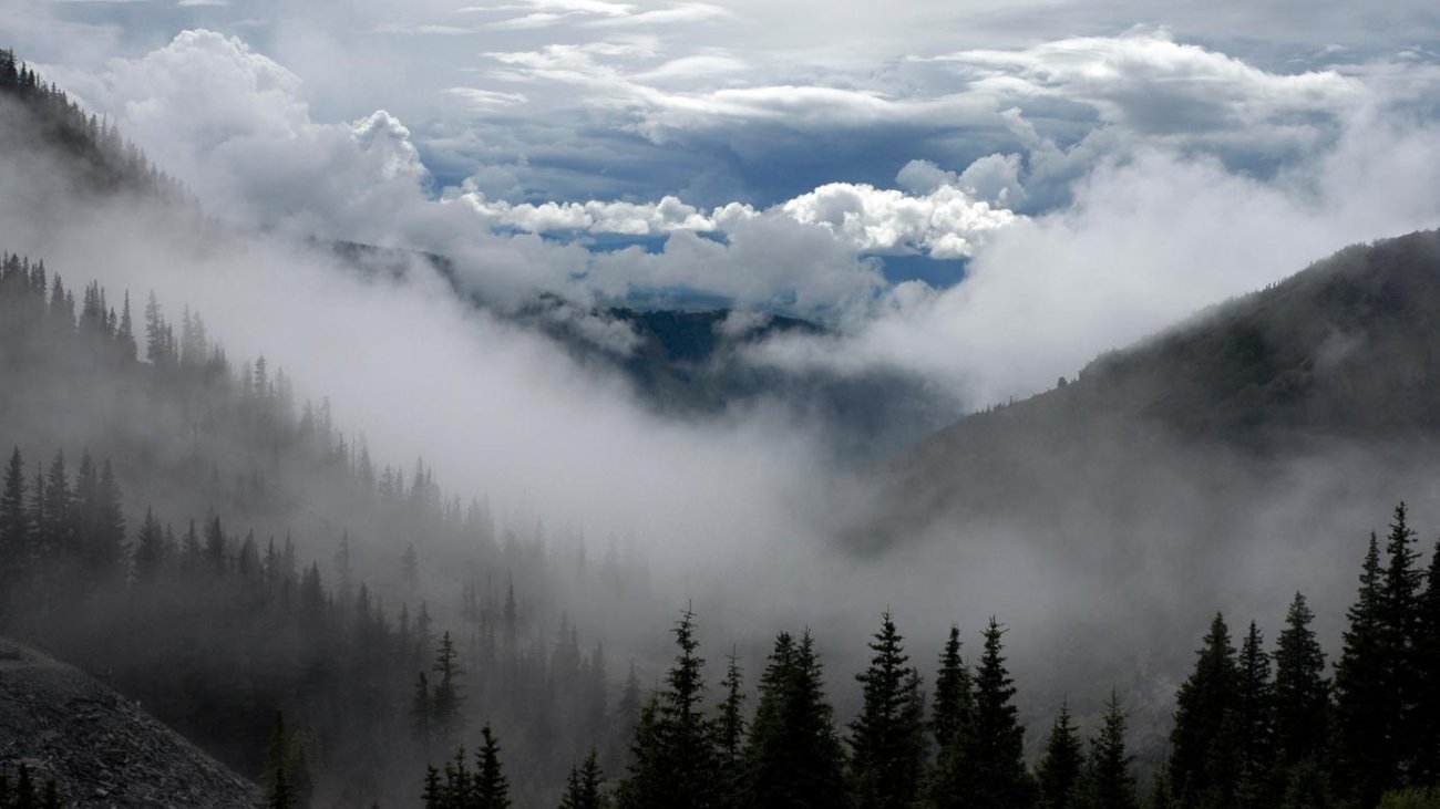 44f20a59-2b88-39ab-992a-6fe6b37d1162