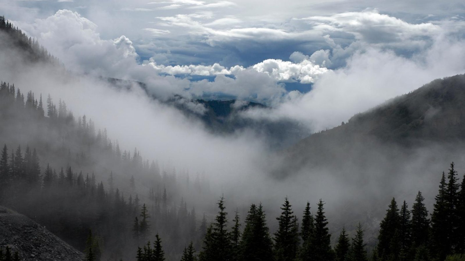 44f20a59-2b88-39ab-992a-6fe6b37d1162