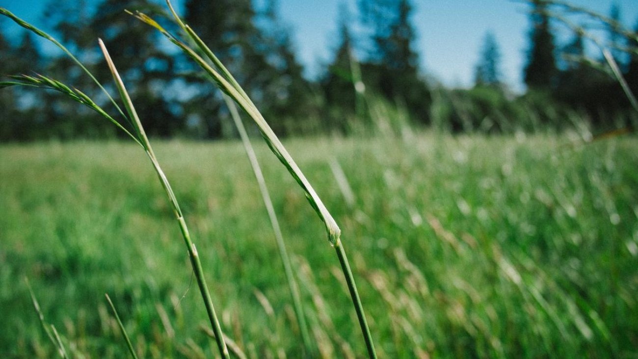 8198ae2c-6374-35bd-bedf-bddac619b381