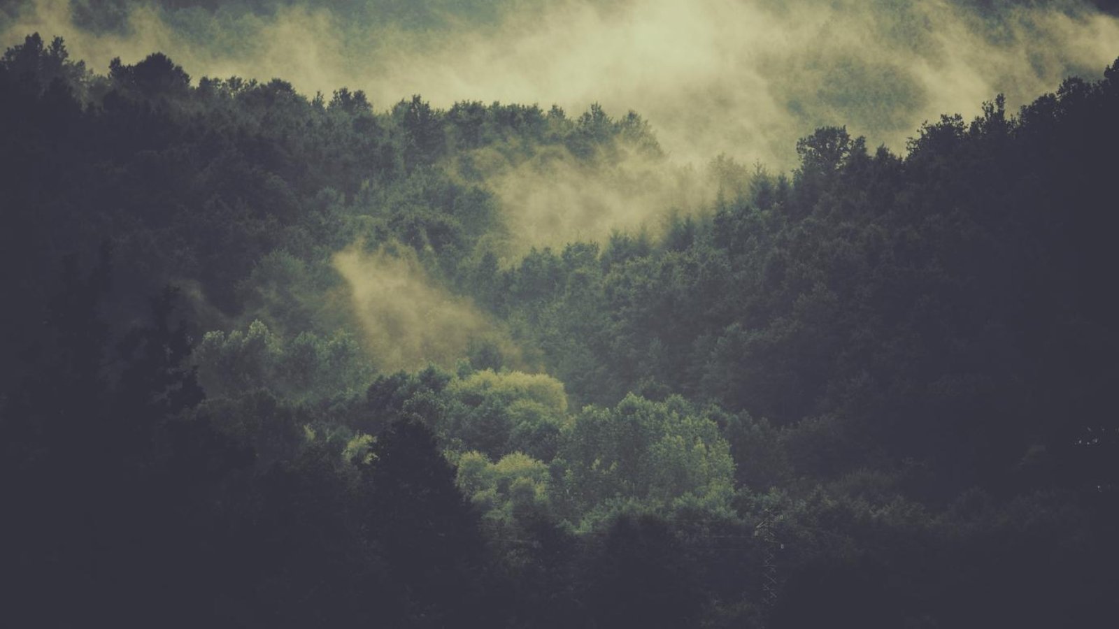 d23e00d2-e1ef-3aa9-bab5-677117525e4c