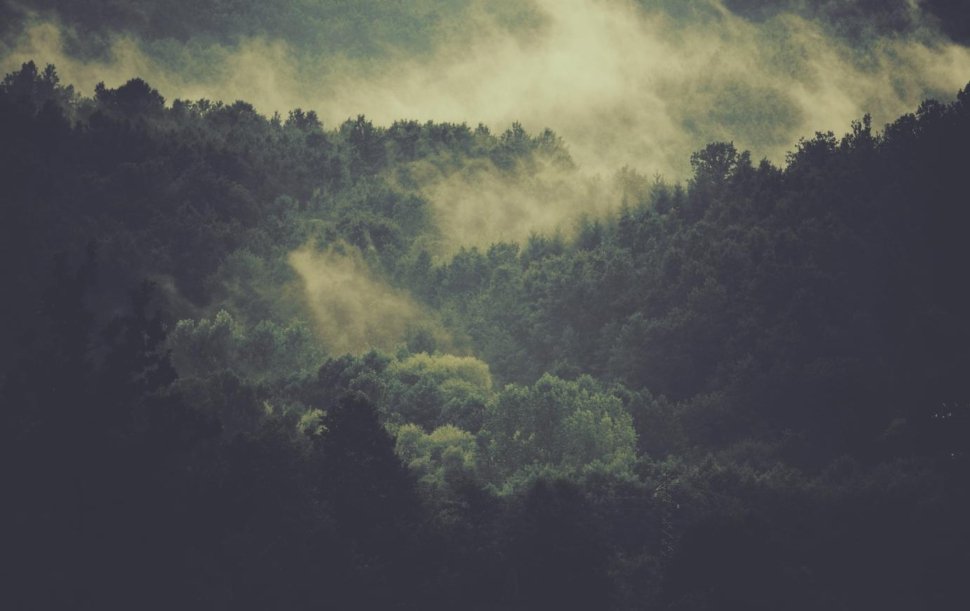 d23e00d2-e1ef-3aa9-bab5-677117525e4c